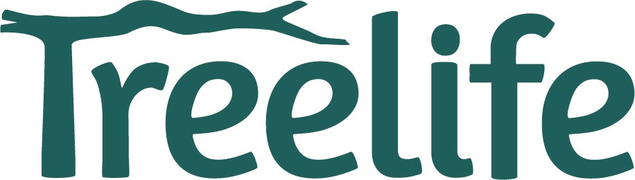 Sponsor 1
